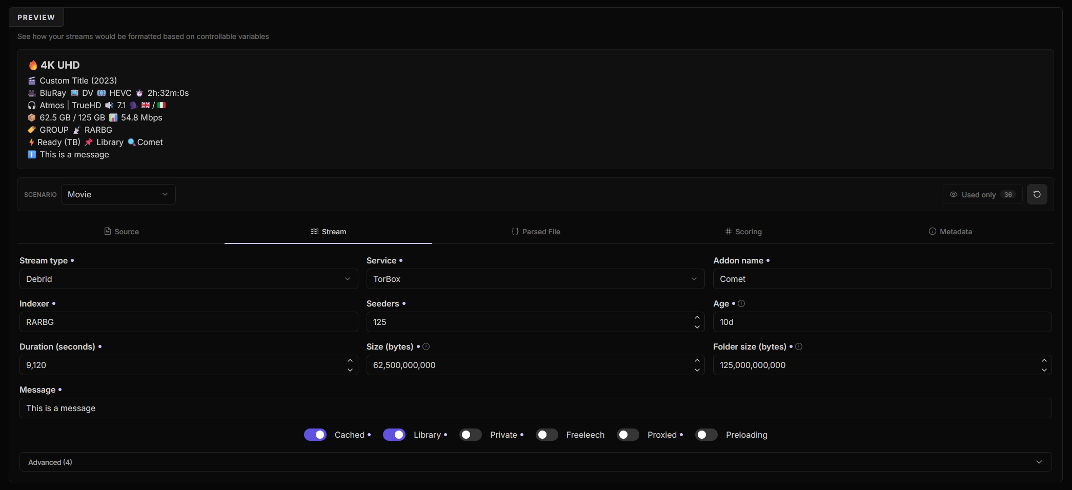 The formatter preview, showing the Source, Stream, Parsed File, Scoring and Metadata tabs above the rendered result